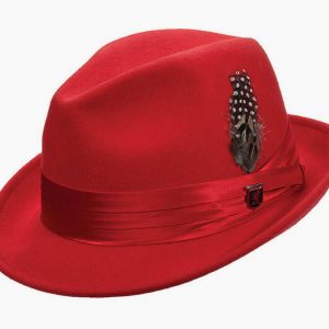 Red Fedora Hat with Feather