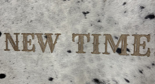 new time logo